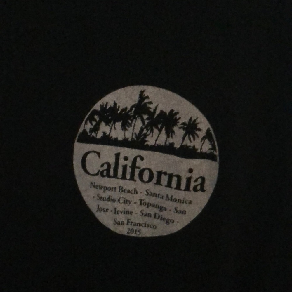 brandy melville CALIFORNIA crop top